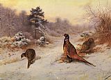 Archibald Thorburn Famous Paintings - Winter's Sunset
